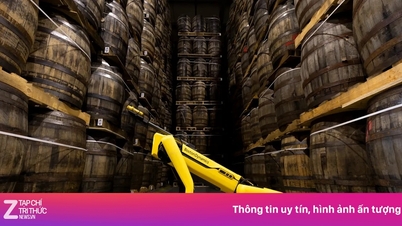 Rượu whisky trong tương lai sẽ tốt hơn nhờ chó robot