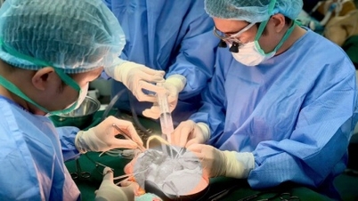 Update berita kesehatan, 26 Februari: Menteri Kesehatan mengirimkan surat ucapan selamat pada Hari Dokter Vietnam.