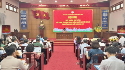 Tay Ninh: Persiapan pemilu berjalan sesuai jadwal.