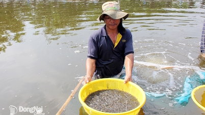 Le secteur de l'aquaculture affiche le taux de croissance le plus élevé.