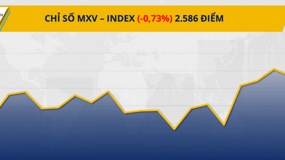 MXV-Index তার ৪-সেশনের জয়ের ধারা ভেঙে ২,৬০০ পয়েন্টের নিচে নেমে এসেছে।