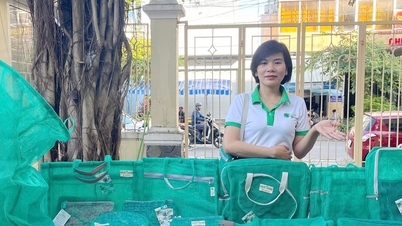 តើមានអ្វីថ្មីអំពីក្រុមហ៊ុនចាប់ផ្តើមអាជីវកម្មថ្មី?