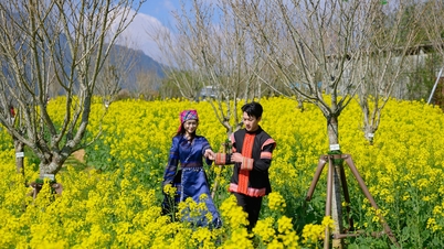 Fansipan erstrahlt in den leuchtenden Farben der Frühlingsblumen und ist Schauplatz des geschäftigen Treibens beim Festival „Öffnung des Himmelstors“.