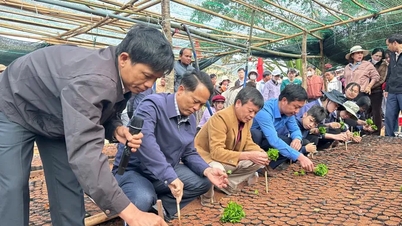 300 người tham gia đóng bầu cà phê giống cấp cho đồng bào Xơ Đăng