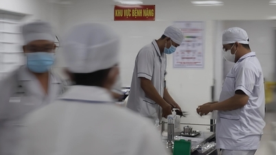 A sleepless night in the Emergency Department of the largest hospital in the Western region.
