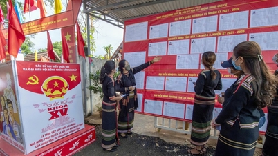 Dak Lak mengadakan pilihan raya awal di 11 kawasan.