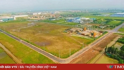 В Хошимине стандартизировано более 3,8 миллионов земельных реестров.