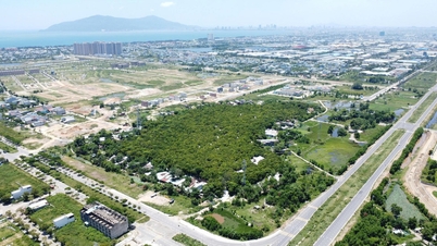 El bosque de Zhongshan pronto debería ser clasificado como un sitio histórico a nivel de ciudad.