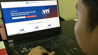 Primeiro leilão de sempre de nomes de domínio nacionais ".vn" com 2 caracteres.