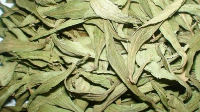 5 rețete de ceai cu stevia