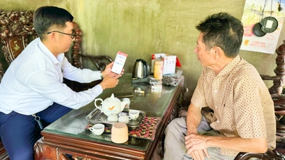 Khanh Hoa Power Company wdraża kulturę korporacyjną w I kw. 2026 r.