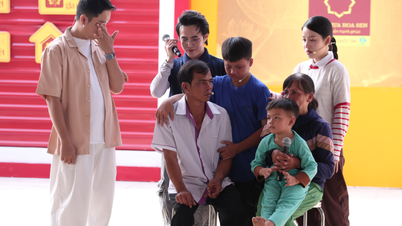 În episodul 175 din „Adăpostul familiei vietnameze”, Huynh Lap, Puka și Le Nhan au fost mișcați până la lacrimi de situația dificilă a copiilor orfani ai căror părinți sunt grav bolnavi.