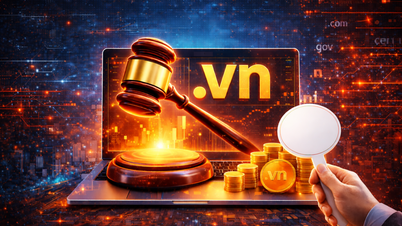 First-ever auction of rare 2-character country code domain '.vn'