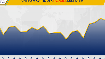 COMMODITYMARKT: MXV-index beëindigt winstreeks van 4 sessies en zakt onder de 2600 punten.