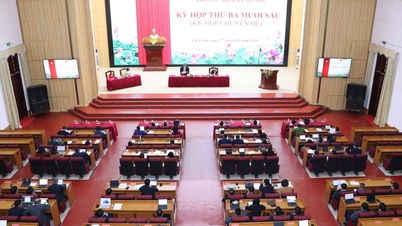 Through 5 resolutions at the thirty-sixth session (special session) of the Provincial People's Council, 15th term, 2021-2026