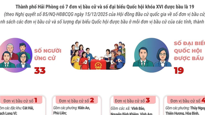 7 valgdistrikter i Hai Phong by