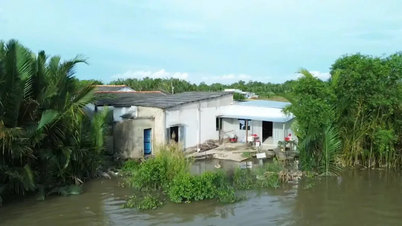 Tay Ninh Nehri: 2021-2025 yılları arasında 32 kilometreden fazla nehir kıyısı aşınacak.