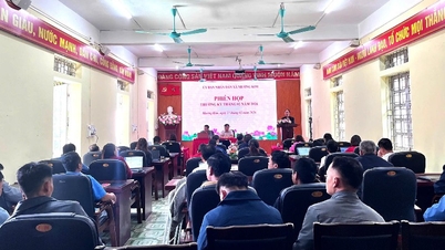 Phiên họp thường kỳ tháng 2/2026