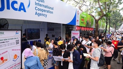 The Vietnam-Japan Festival promotes cultural exchange and community connection.