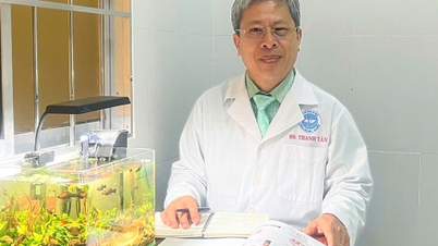 의료 윤리로 밝게 빛나다.