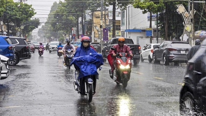 Se emite advertencia de tormenta eléctrica para la provincia.