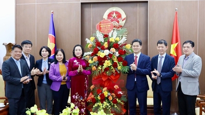 Nationalförsamlingens vice ordförande Nguyen Thi Thanh gratulerar till Vietnams läkardag.