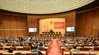 Tran Cam Tu, membre permanent du Secrétariat du Comité central du Parti, occupe le poste de chef du Comité directeur central pour le développement de la culture vietnamienne.