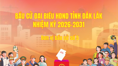 A Dak Lak Tartományi Népi Tanács jelöltjeinek rövid életrajzai, 11. ciklus, 2026-2031: 5. számú választási egység