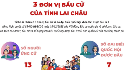 De provincie Lai Chau heeft 3 kiesdistricten en er werden 7 vertegenwoordigers gekozen in de 16e Nationale Vergadering.