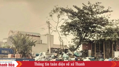 Hac Thanh Bölgesi, hurda metal işletmelerinin yönetimini güçlendiriyor.