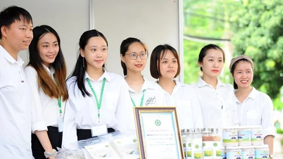 Phê duyệt 'Chương trình Hỗ trợ HSSV khởi nghiệp giai đoạn 2026 - 2035'