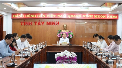 Promoting the development of social housing, aiming for a transparent and sustainable real estate market.