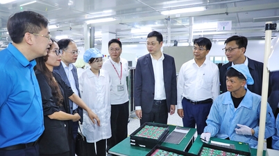 El subsecretario del Comité Provincial del Partido, Tran Huy Phuong, visitó e inspeccionó la situación de la producción en varias empresas y localidades.