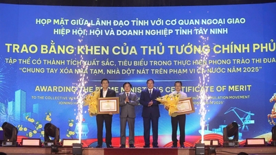 Agribank Bac Long An Branch partners with Tay Ninh in caring for social welfare.