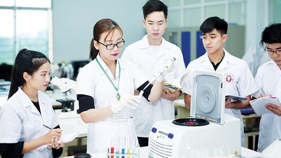 Hanoi több mint 300 milliárd vietnami dongot költ 1000 PhD hallgató képzésének támogatására.