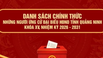 Officiell kandidatlista till Quang Ninhs provinsiella folkråd, 15:e mandatperioden, 2026-2031