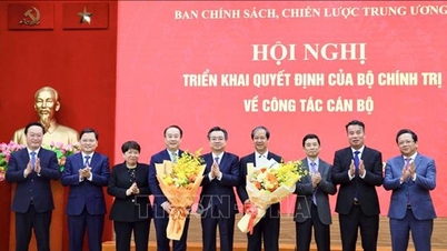 El camarada Nguyen Kim Son y el camarada Nguyen Sy Hiep ocupan los cargos de subdirectores del Departamento de Política y Estrategia del Comité Central.