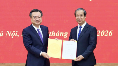 MM. Nguyen Kim Son et Nguyen Sy Hiep occupent les postes de chefs adjoints du département des politiques et des stratégies du Comité central.