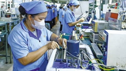 Buscar oportunidades para ganar participación de mercado de inversión extranjera.