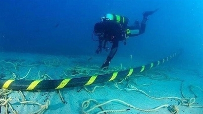 The AAE1 submarine fiber optic cable experienced a malfunction in the early days of the year.