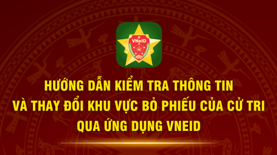 ការណែនាំសម្រាប់អ្នកបោះឆ្នោតដើម្បីតាមដានតំបន់បោះឆ្នោតរបស់ពួកគេនៅលើ VNeID