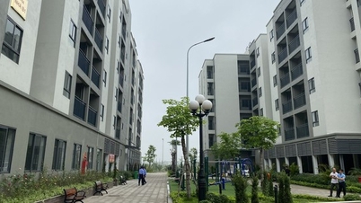 Yılın ilk iki ayında ek olarak 544 sosyal konut birimi daha tamamlandı.