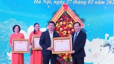 Deputy Minister of Health: Developing advanced, cutting-edge techniques in the field of endocrinology.