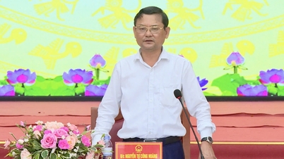 İl Halk Komitesi Başkan Yardımcısı Nguyen Tu Cong Hoang, Quy Nhon - Pleiku Otoyolu Projesi için tazminat ve arazi tahliye çalışmalarındaki ilerlemeyi incelemek üzere bir toplantıya başkanlık etti.
