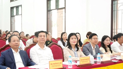 国会と人民評議会の候補者12人がハティン省のさまざまな地域で有権者と面会した。