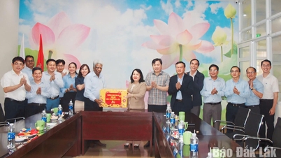 Ibu Cao Thi Hoa An, Wakil Sekretaris Tetap Komite Partai Provinsi dan Ketua Dewan Rakyat Provinsi, mengunjungi dan menyampaikan ucapan selamat Tahun Baru kepada KCP Vietnam Industrial Co., Ltd.
