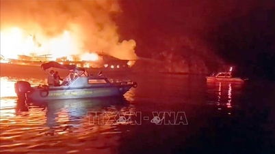 Memberikan dukungan dan memastikan keselamatan wisatawan setelah insiden kebakaran kapal di Teluk Ha Long.