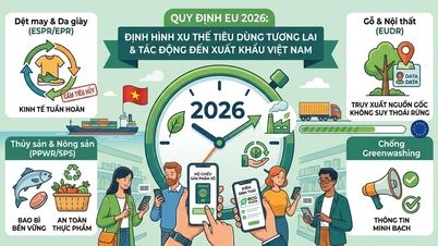 Four EU regulations in 2026 will reshape consumer trends and impact Vietnam's exports.