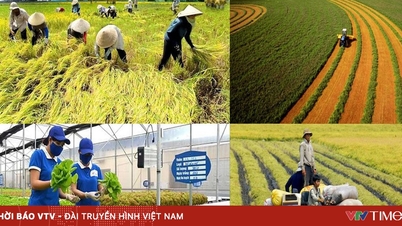 Ministerul Finanțelor propune majorarea subvenției pentru primele de asigurare agricolă la 95% pentru gospodăriile sărace.