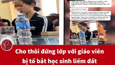 Lehrerin, die beschuldigt wurde, Schüler zum Ablecken von Schmutz gezwungen zu haben, wurde aus dem Schuldienst entlassen.